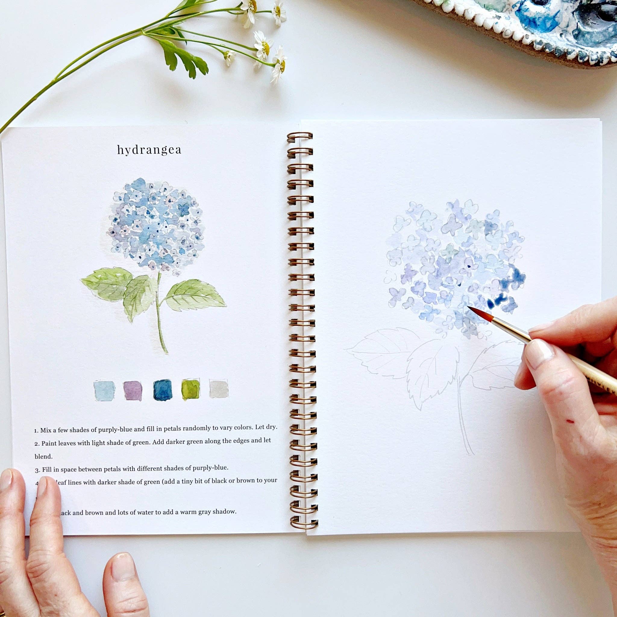 Cahier d'aquarelle | Fleurs