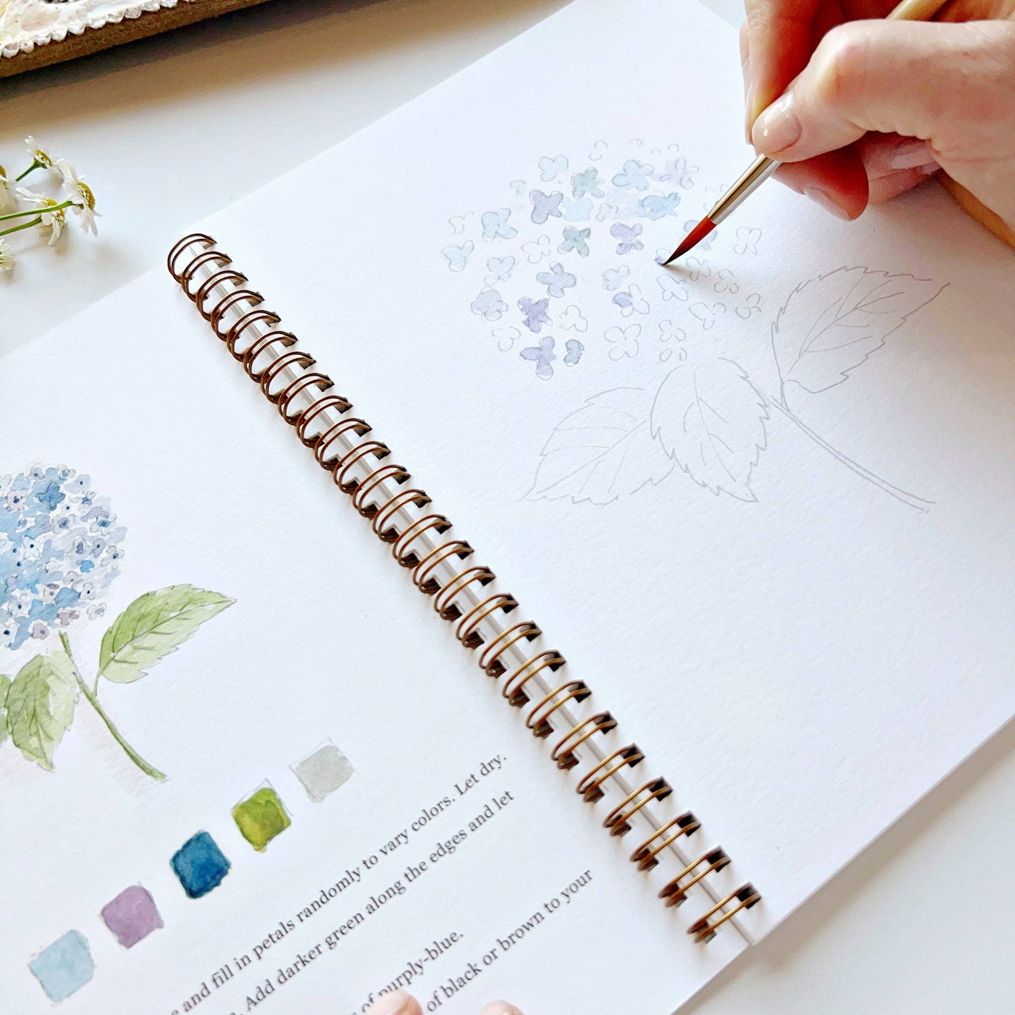 Cahier d'aquarelle | Fleurs