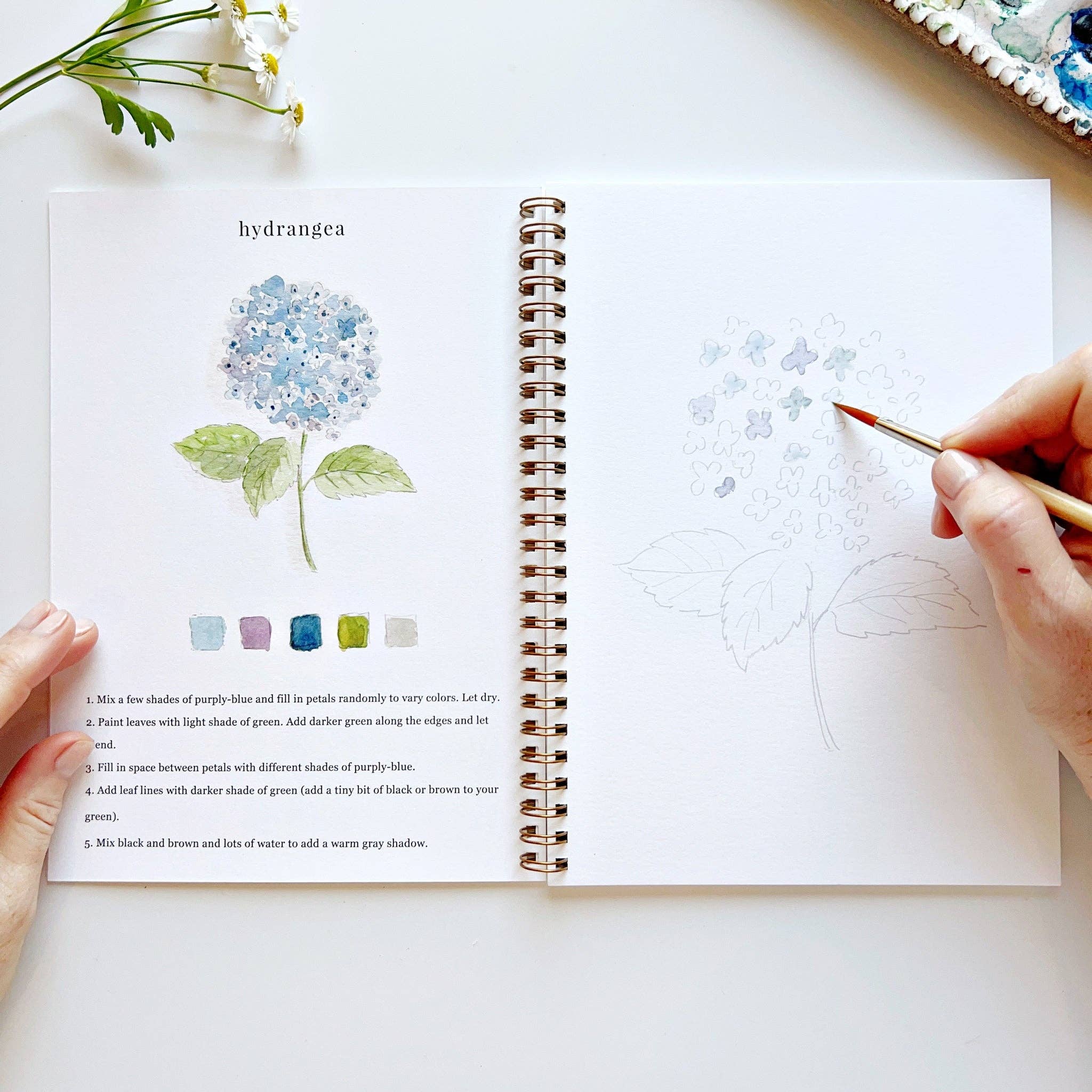Cahier d'aquarelle | Fleurs